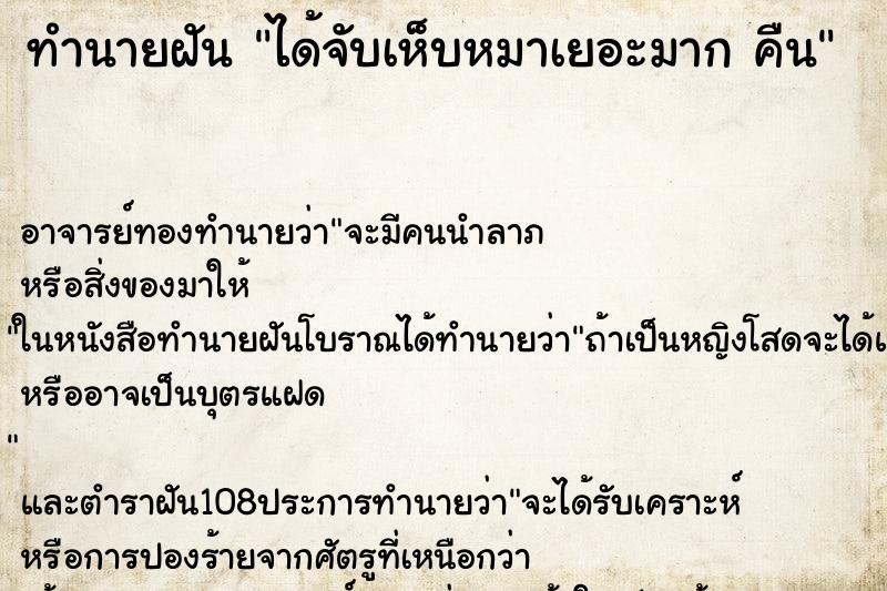 ทำนายฝัน ได้จับเห็บหมาเยอะมาก คืน ทำนายฝัน ได้จับเห็บหมาเยอะมาก คืน